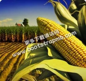 致力于提供专业便捷的体育内容 - 开云体育下载
